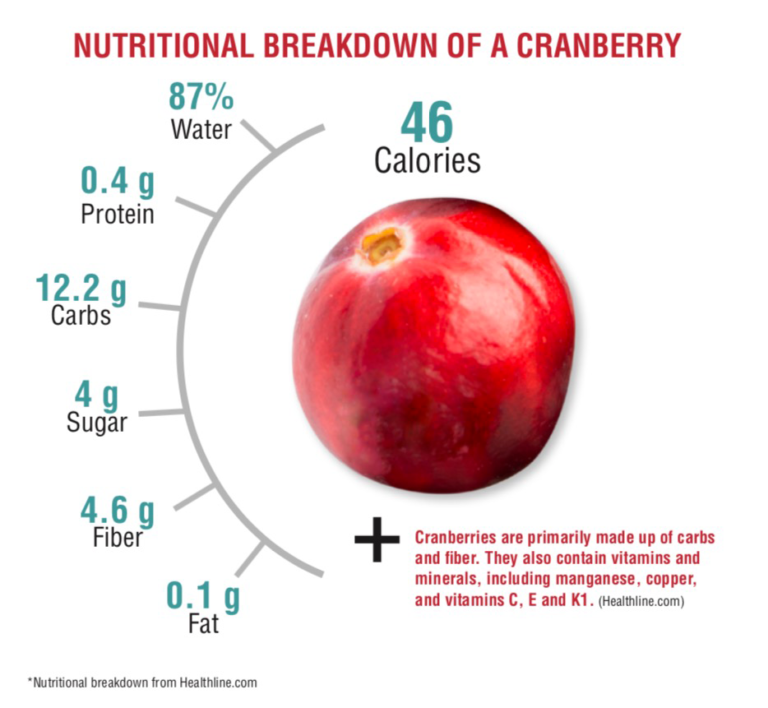 Cranberries Everything You Should Know! Wellness360 Magazine