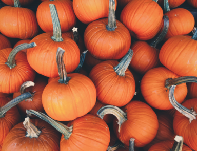 National Pumpkin Day