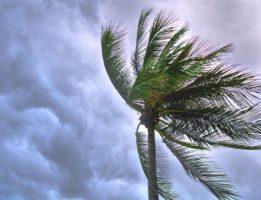Hurricane Prep Checklist