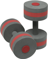 Speedo Aqua Fitness Barbells Gear
