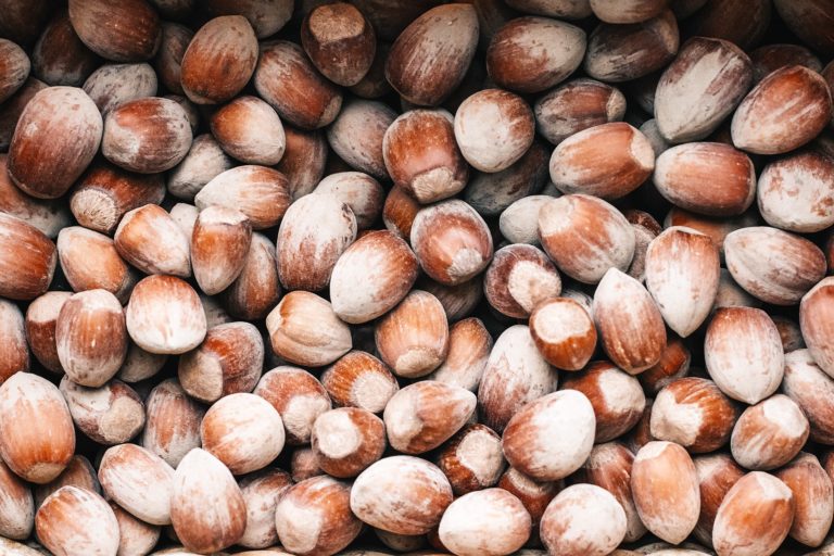 Learn About the Benefits of Hazelnuts! Wellness360 Magazine