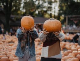 Interesting Pumpkin Facts