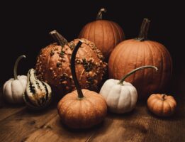 Pick The Perfect Pumpkin