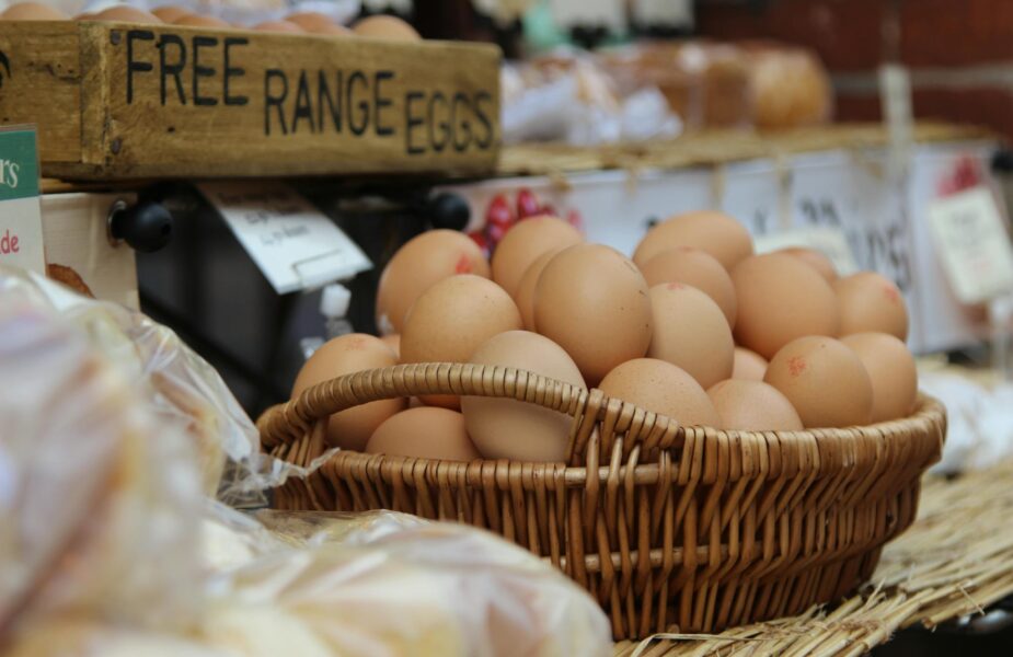 Eggs in basket