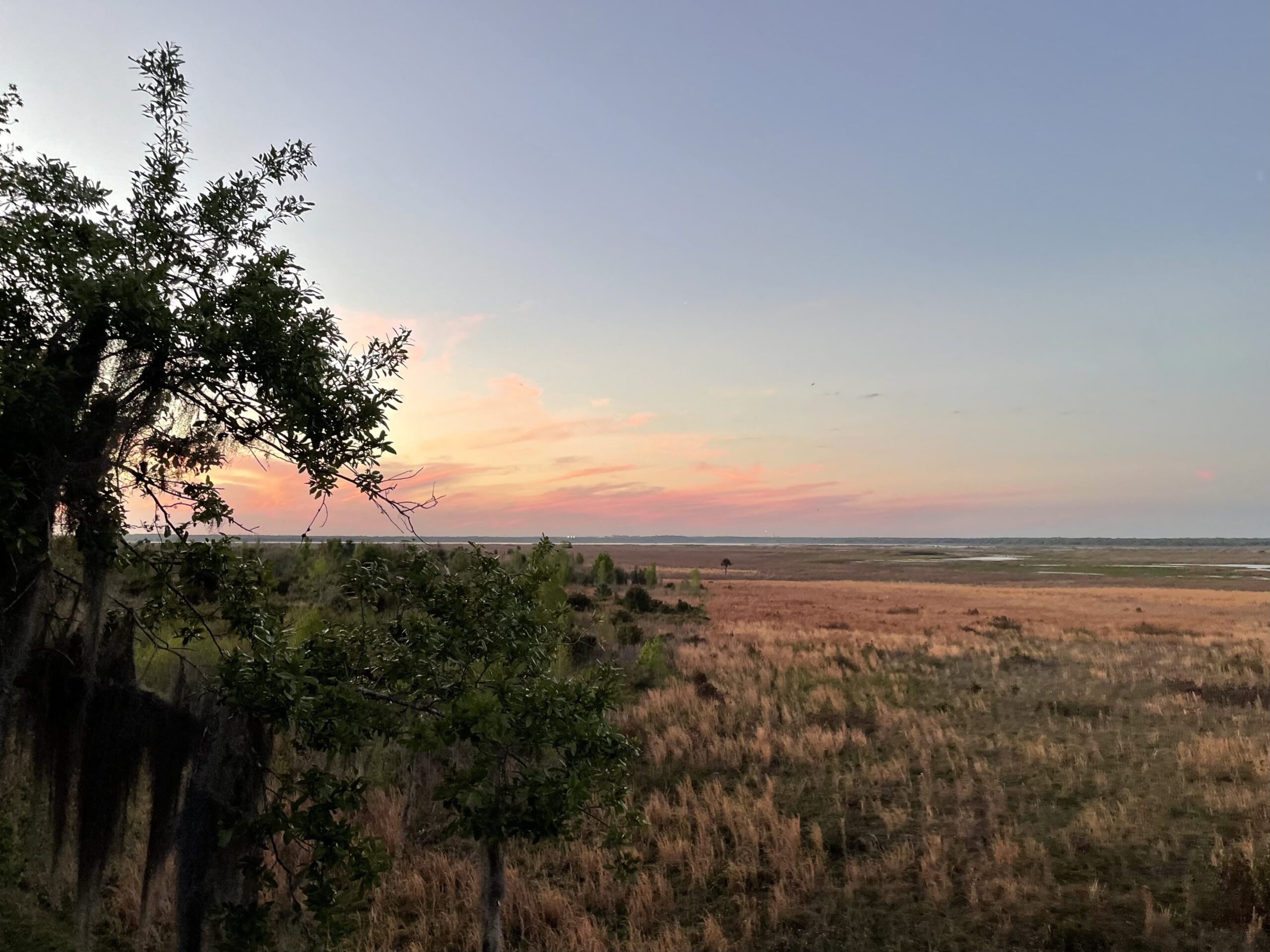 Paynes prairie in fall in Gainesville