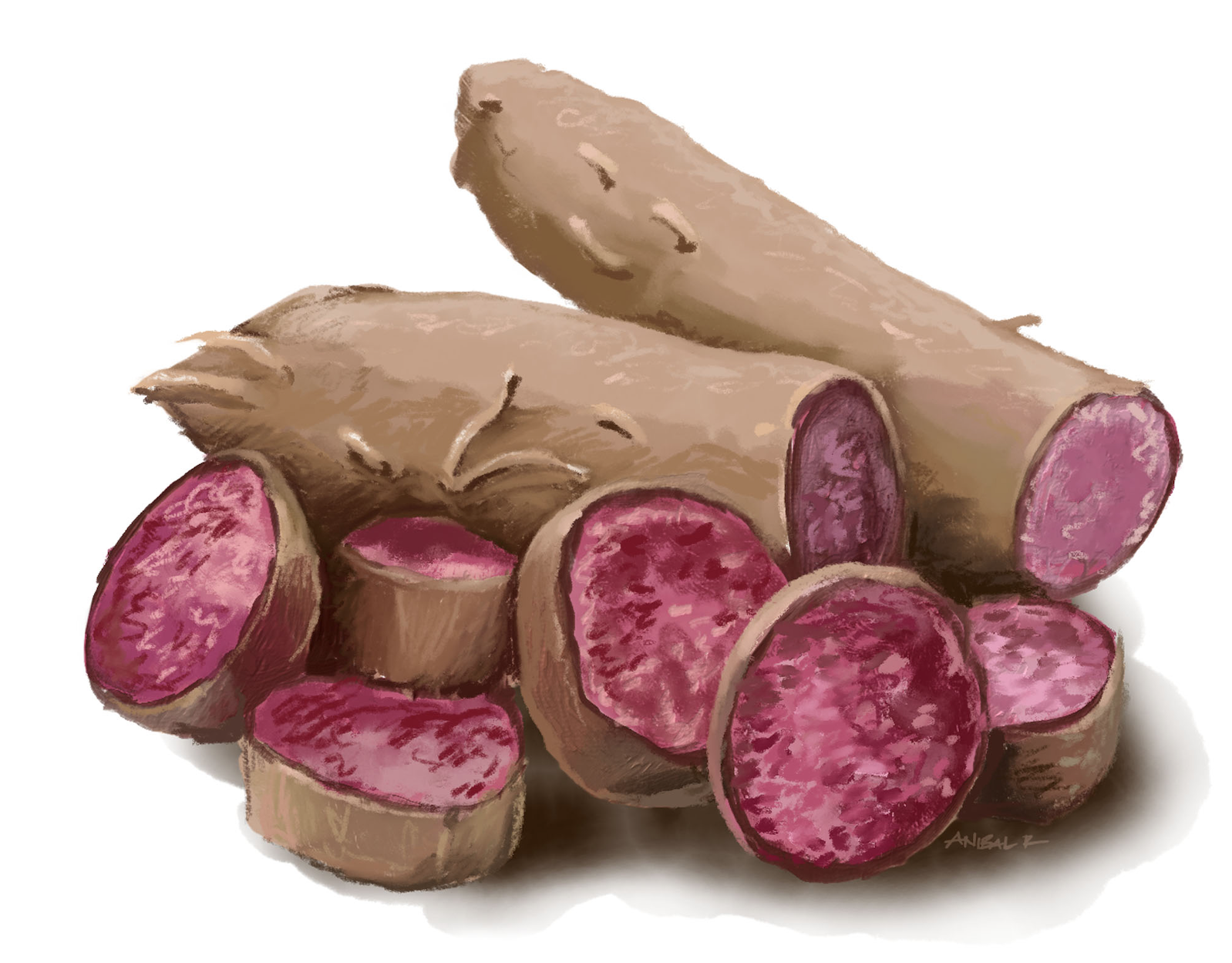 Add Color To Your Diet with Ube